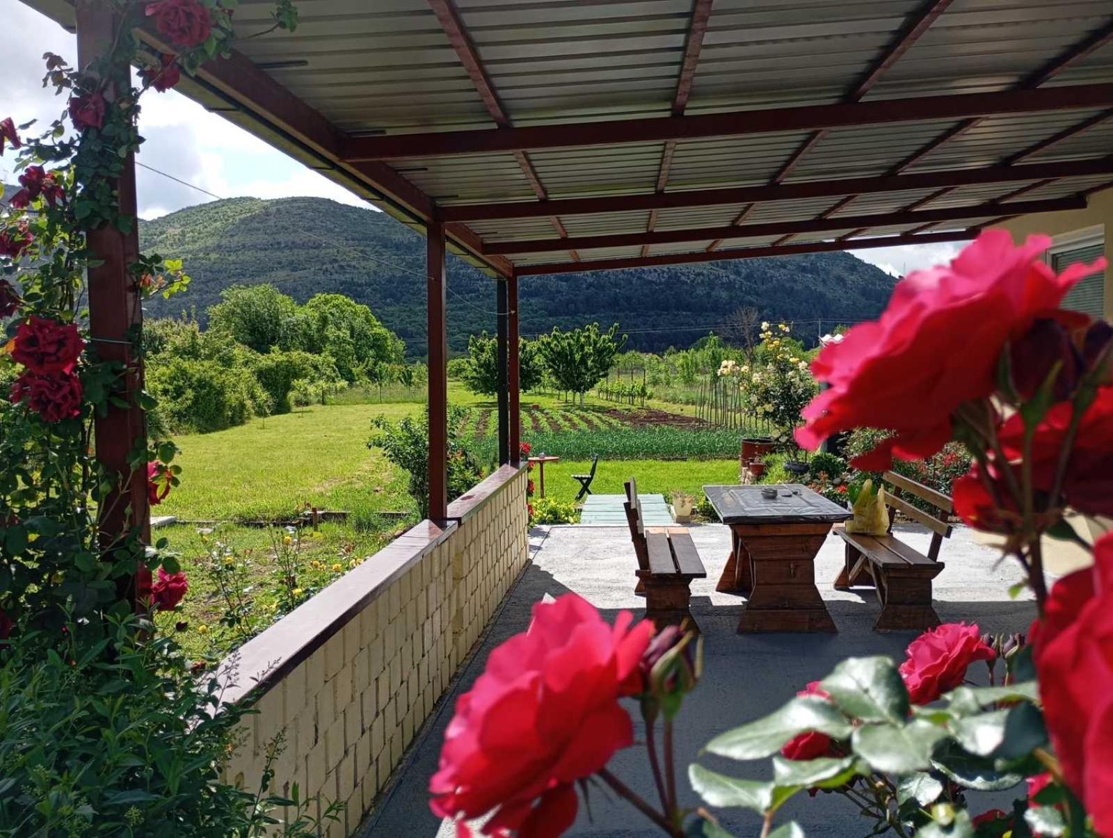 Smjestaj Dada Villa Trebinje Eksteriør bilde